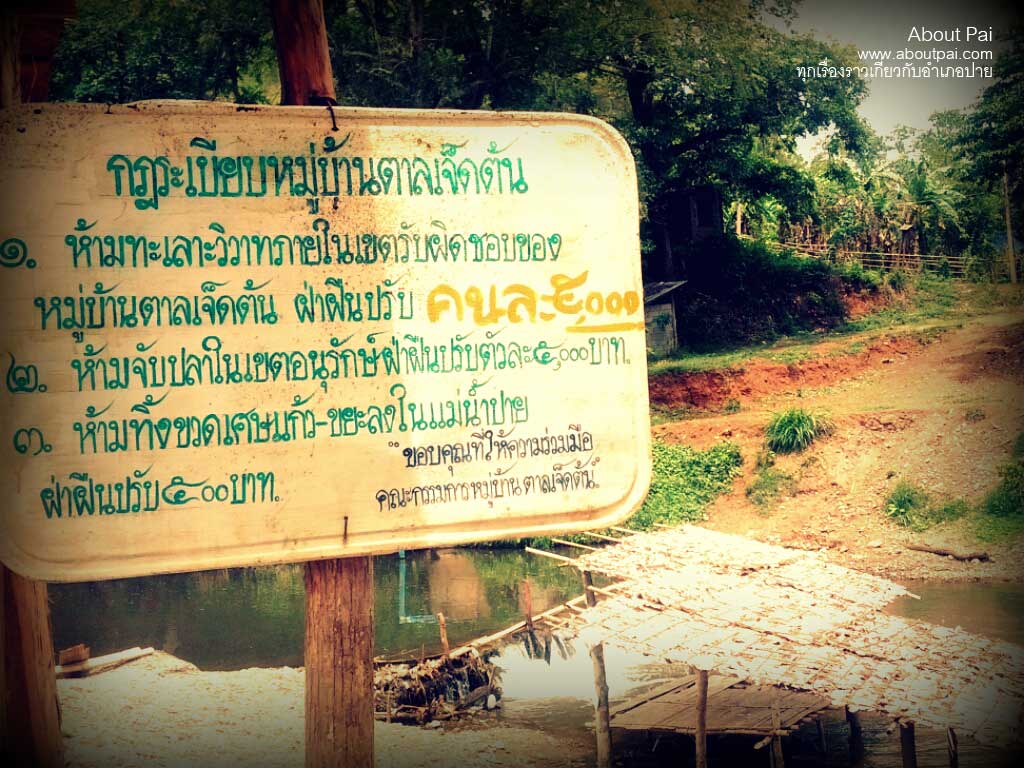 จุดเล่นน้ำตาลเจ็ดต้น 4