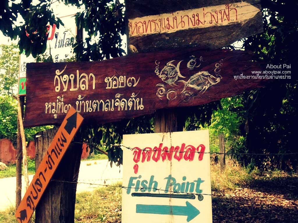 จุดเล่นน้ำตาลเจ็ดต้น 2