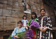 ชนเผ่าพื้นเมือง 3