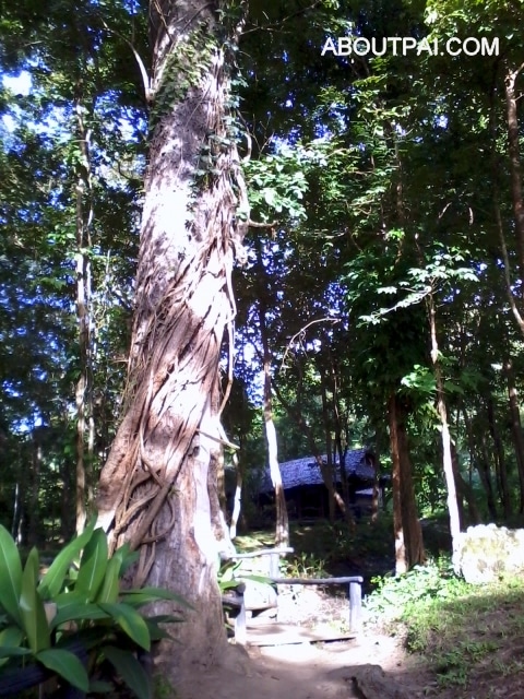โป่งน้ำร้อนท่าปาย Tapai Hotspring
