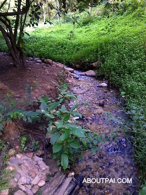 โป่งน้ำร้อนท่าปาย Tapai Hotspring